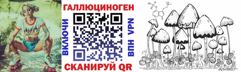 Купить  Волгореченск  Псилоцибиновые грибы Cubensis 